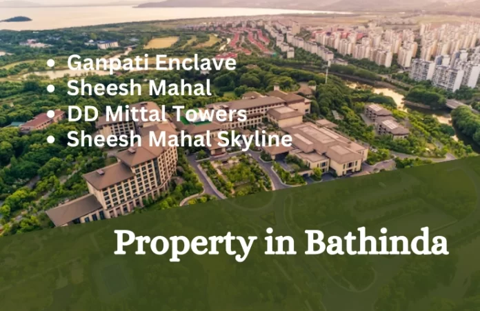 Flats in Bathinda