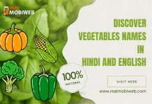 Vegetables Names in Hindi