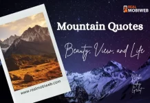 Mountain Quotes on Beauty, View, and Life