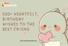 Birthday Wishes to Best Friend